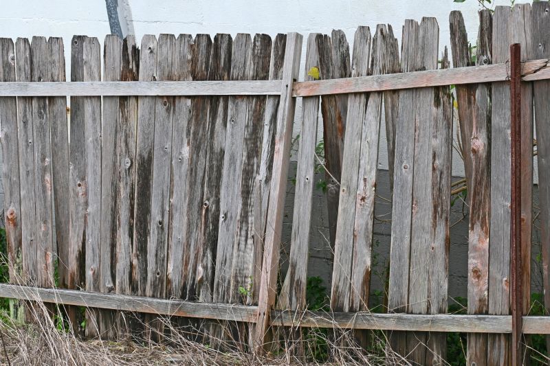 Fence Removal Experts